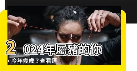 屬豬虛歲幾歲|屬豬年份｜2024年幾歲？屬豬出生年份+歲數一